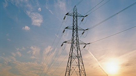 网上国网平台型组织研究项目正式进入实施阶段